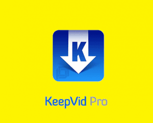 keepvid music registration key