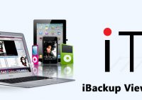 iBackup Viewer Crack